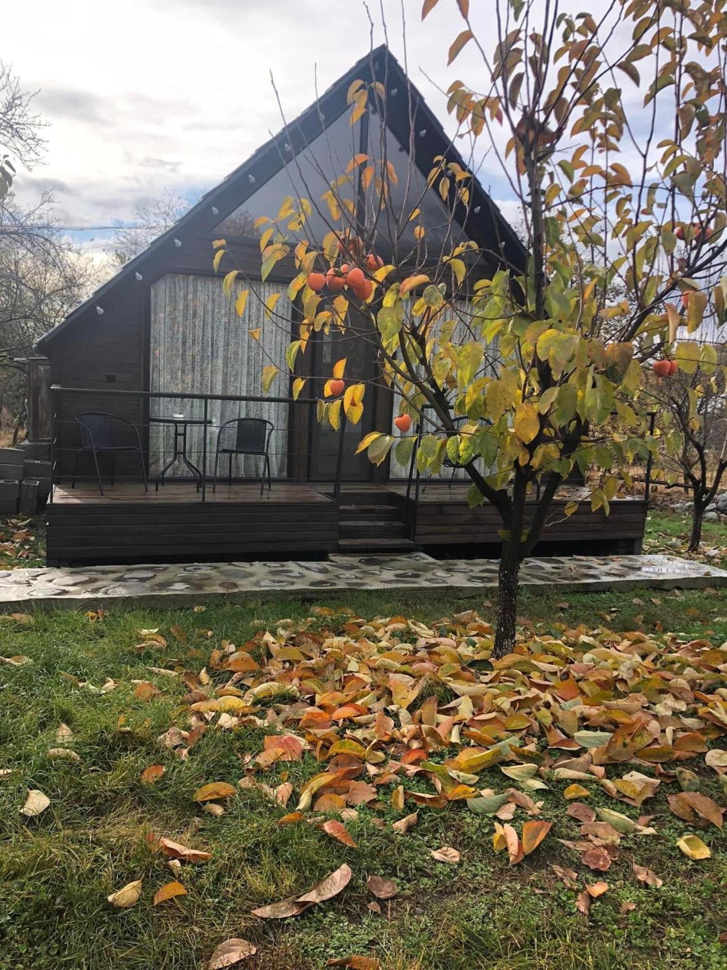Wood House לאגודחי מראה חיצוני תמונה
